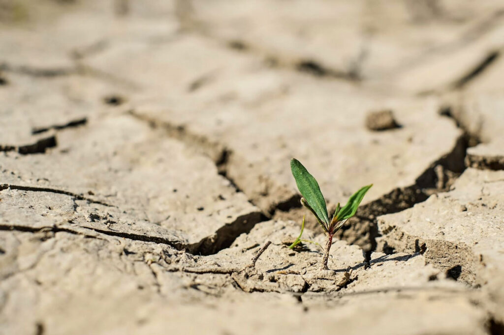 مهم ترین عوامل ایجاد بحران آب در ایران